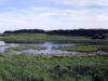 20130602_175957.jpg